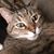 Kelly Jackson's profile image