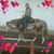 Althea Hensel's profile image