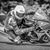 Dave Mason's profile image