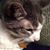 Christine Johnson's profile image