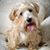 Tatiana Frierson's profile image