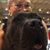 Amanda Yocum's profile image