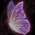 Sandy Schmidt Gilbert's profile image