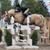 Kim Larson-Daiker's profile image