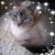 Bobbi Lynn's profile image