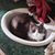 Carol Figura's profile image