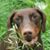 Orravan Ramo's profile image