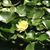 Lola Lee Barnhart's profile image