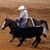 Debra Renfroe Motichek's profile image