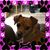 Heather Nelson's profile image