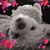 Donna Simonis's profile image