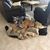 Kelly Burnett Santarelli's profile image