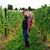 Grace Fricano's profile image