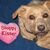Patty Hendrix Chicoine's profile image