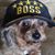 Charlie Mouton's profile image