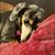 Bill McGee's profile image