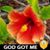 Marilyn Margeson Mitchum's profile image