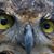 Richard Federman's profile image