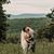 Corey Stambaugh's profile image