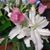 Barb Henwood's profile image