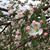 Beverly Allen Hollenbeck's profile image