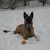 Carol Aulick's profile image