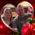 Karen Fain Wightman's profile image