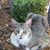 Barbara Cumbie's profile image