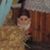 Doug Dennis's profile image