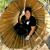 Melissa DiVincenti's profile image
