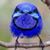 Elizabeth Stuart's profile image