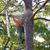 Hannon's Tree & Landscape Services, Inc.'s profile image