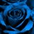 Astrid Perez's profile image