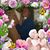 Debra King's profile image