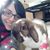 Tori Machen's profile image