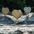 Elizabeth Wilson's profile image