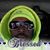 Antwan ScoopDogg Crummer's profile image