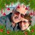 Kathy Bondurant Tinnell's profile image
