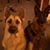 Cherie Harbour's profile image