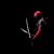 Mike Wellborn's profile image