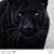 Kimberly Bell's profile image