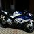 Stefano Scuglia's profile image