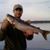 Dave LaCombe's profile image