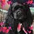 Jewel Johnson's profile image