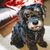 Karen Woods's profile image