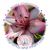 Dawn Urban Hackett's profile image