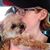 Heather Kennedy's profile image