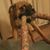 Paula Roberts's profile image