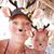 Joy Felice Carde-Stanulis's profile image