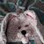 Victoria Cusanelli's profile image